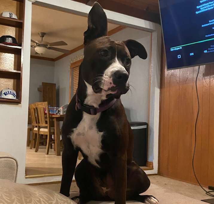 Photo of Deliah