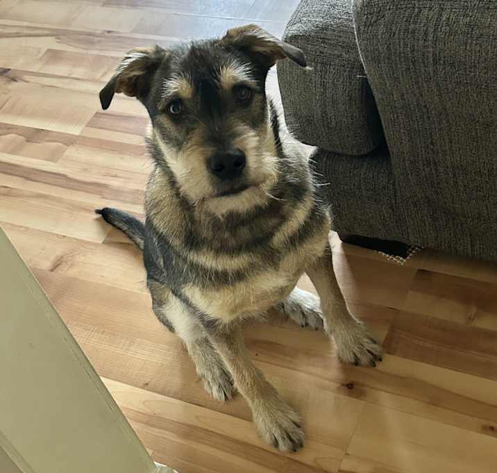 Photo of Ace
