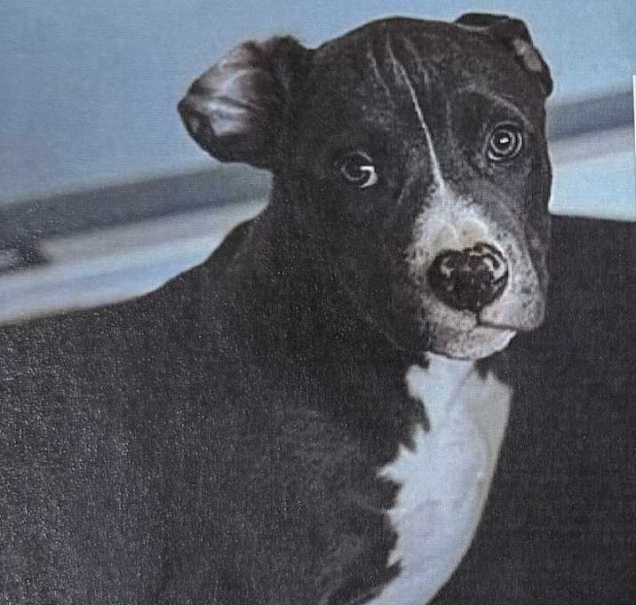 Photo of Prime