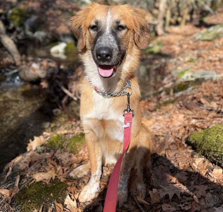 Photo of Ayla (LOCATED AT BTDR HQ)