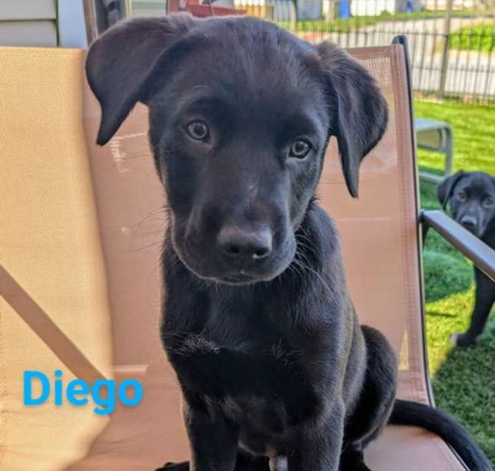 Photo of Diego