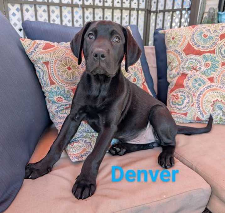 Photo of Denver