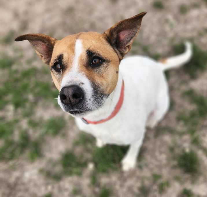 Photo of Phoebe LLD