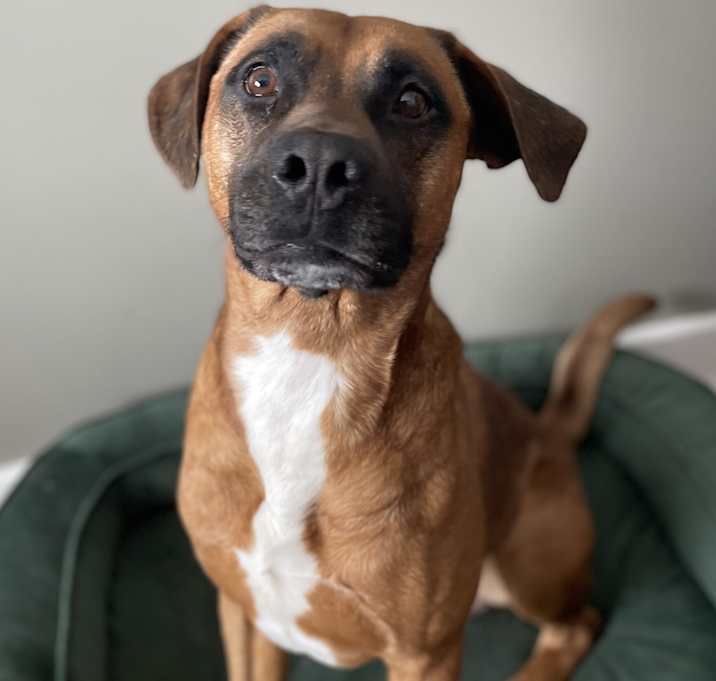 Photo of Tiny
