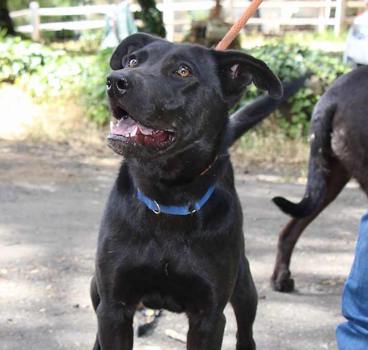 Photo of Tex