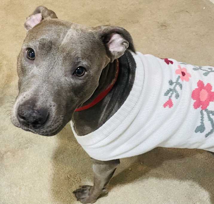 Photo of Bama