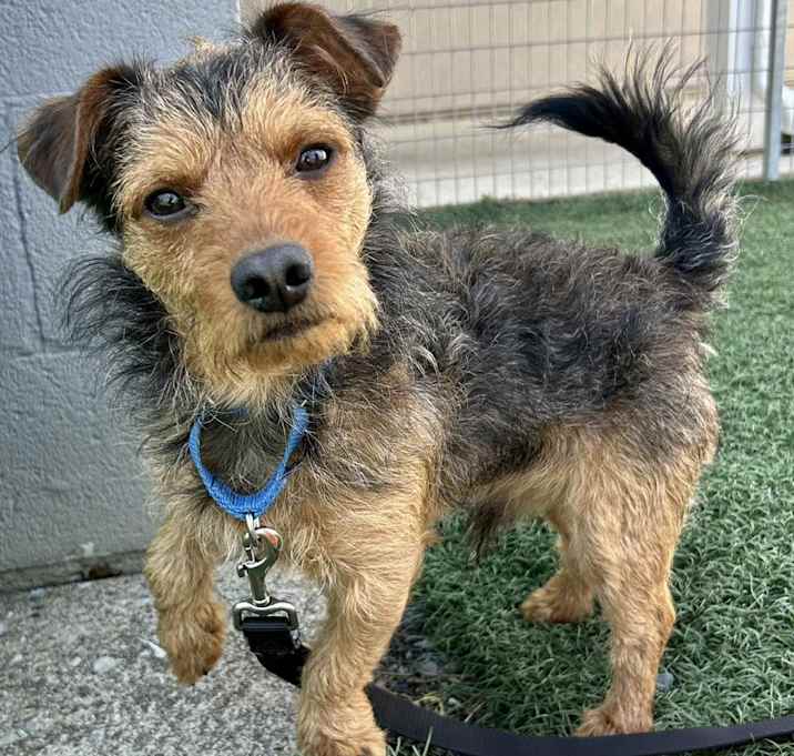 Photo of Diego
