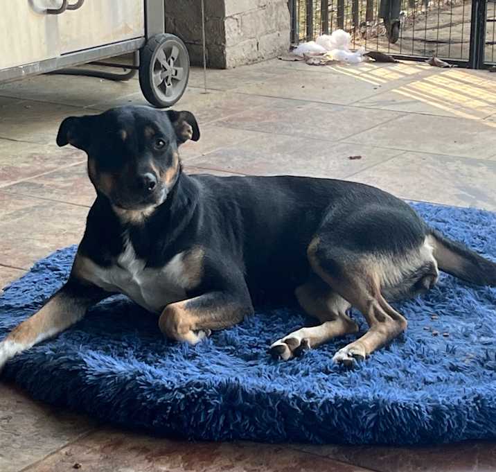 Photo of Lucy