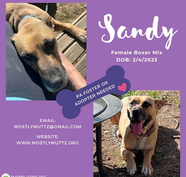 Photo of Sandy