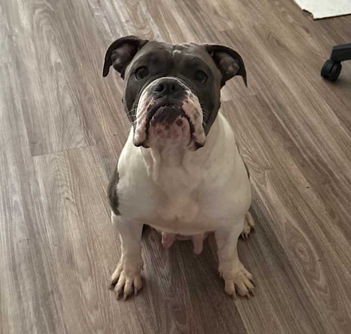 Photo of Kilo