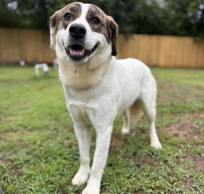 Photo of Bonnie