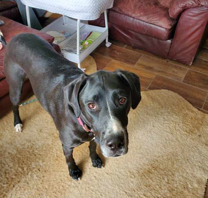 Photo of Bella
