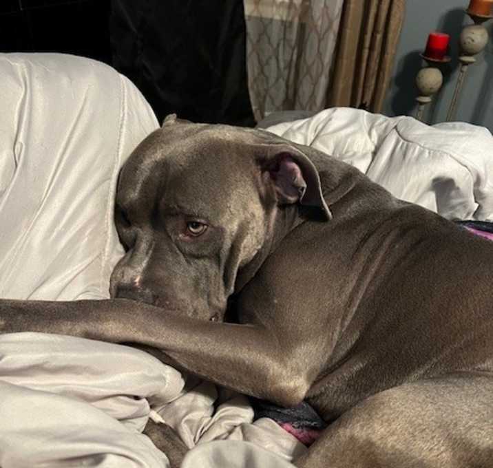 Photo of Smokey