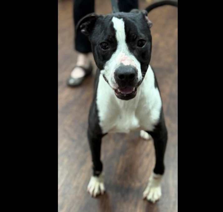 Photo of Banksy