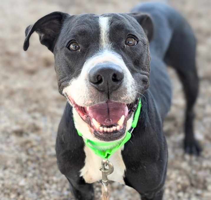 Photo of JAX