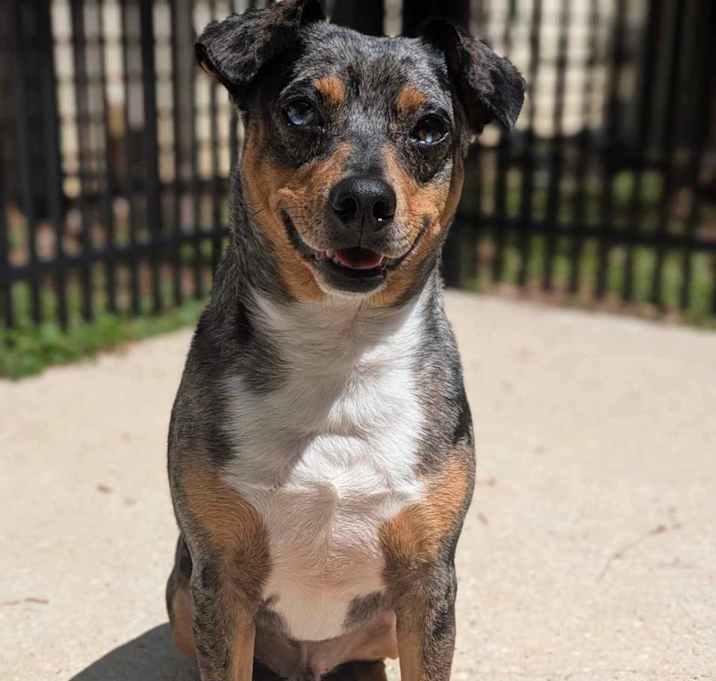 Photo of BO