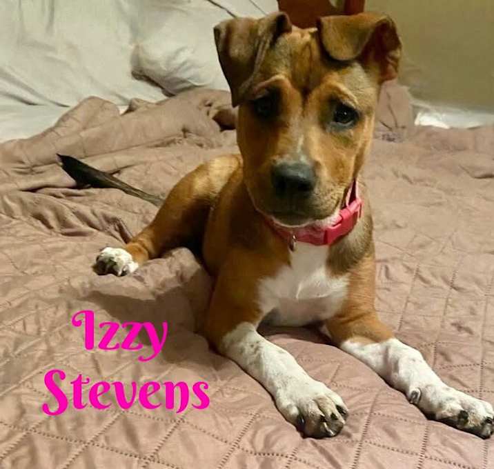 Photo of IZZIE STEVENS