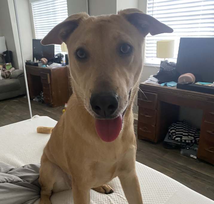 Photo of Mia