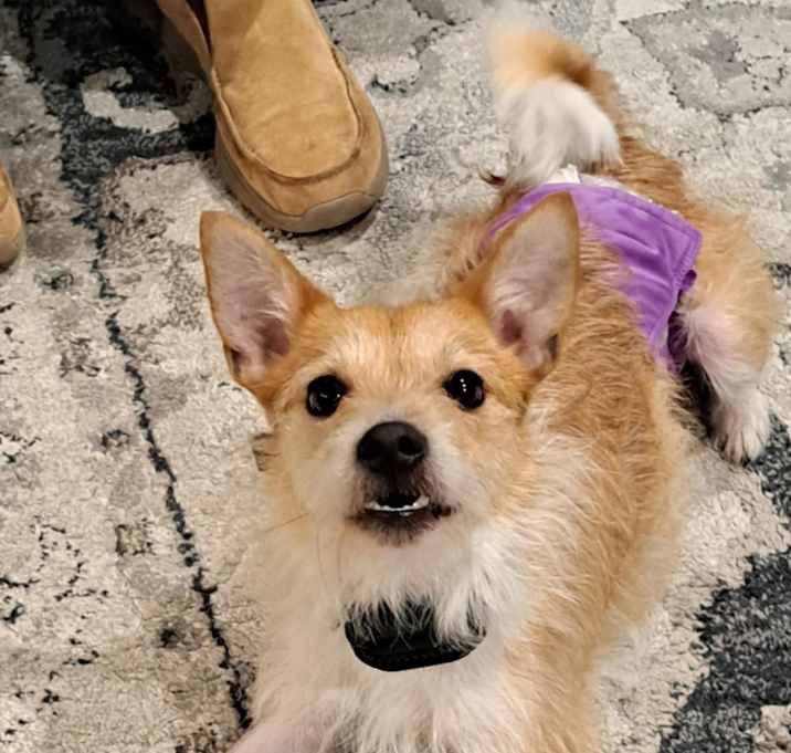 Photo of Buster