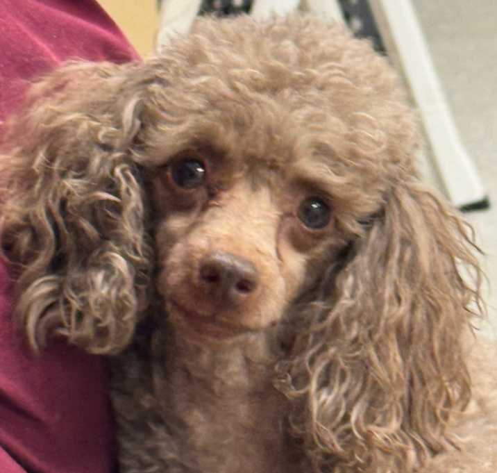 Photo of Devon