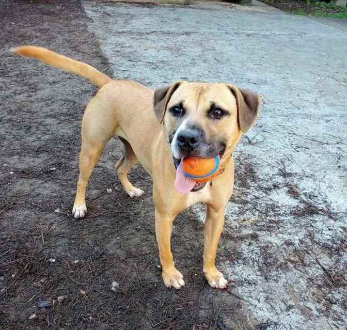 Photo of Bubbles (In Foster)