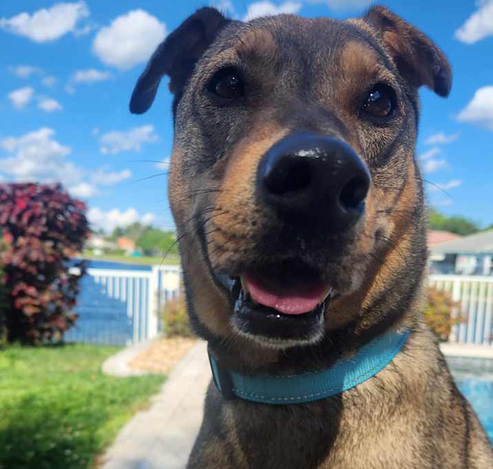 Photo of Charlee