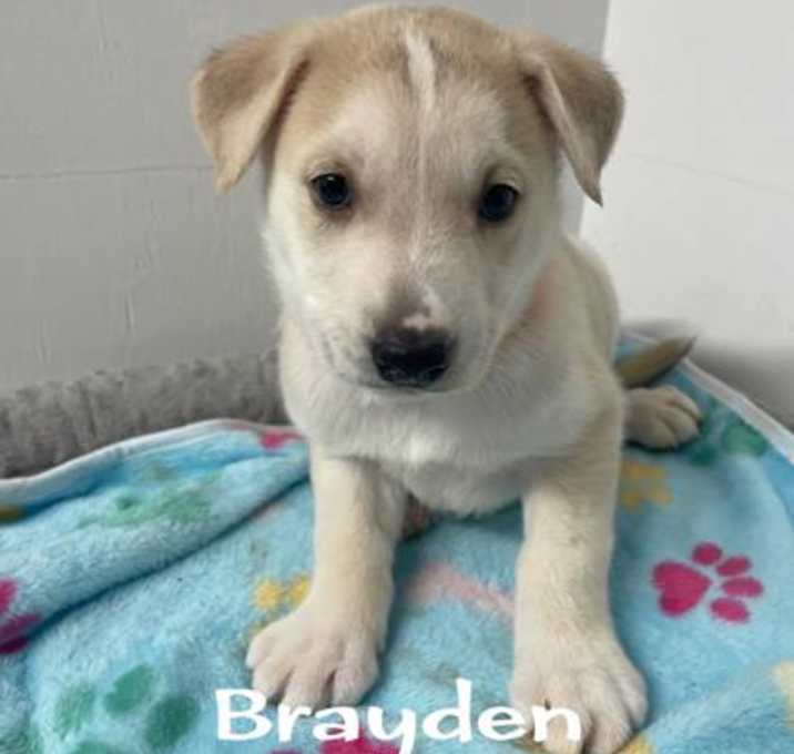 Photo of Brayden
