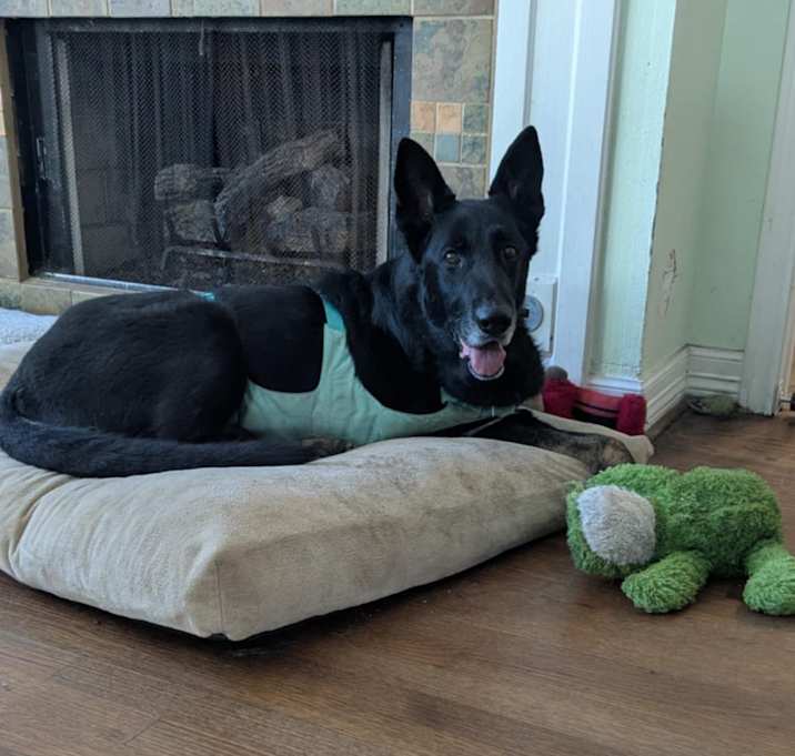 Photo of Woofy
