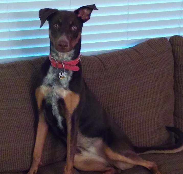 Photo of Zena