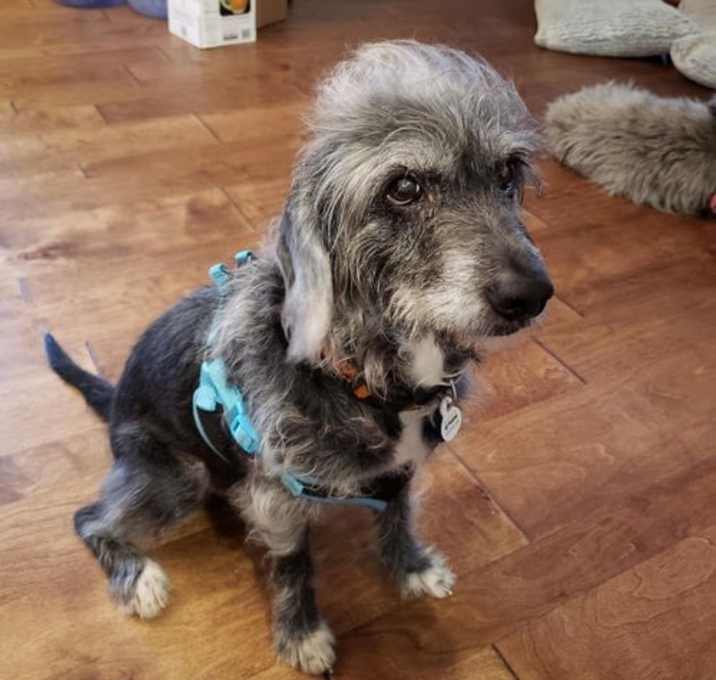 Photo of Einstein
