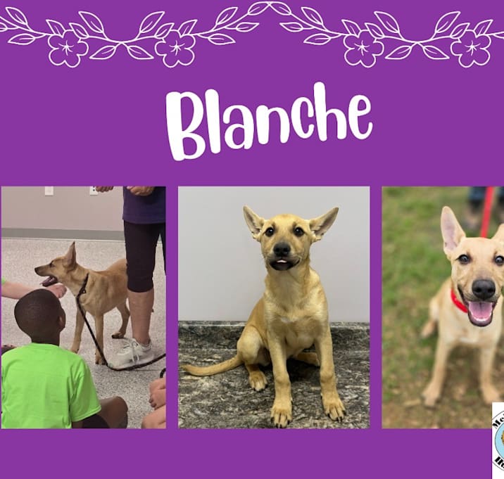 Photo of Blanche