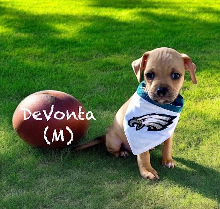 Photo of DeVonta