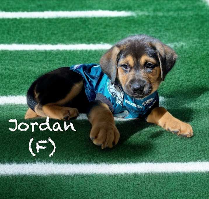 Photo of Jordan