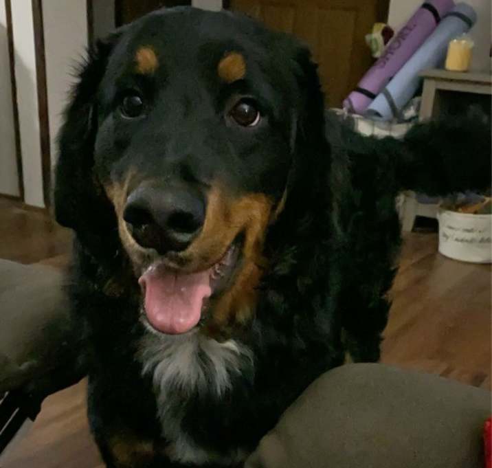Photo of Buster