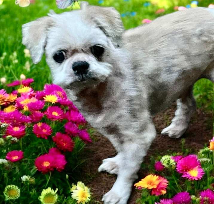 Photo of FINNEGAN