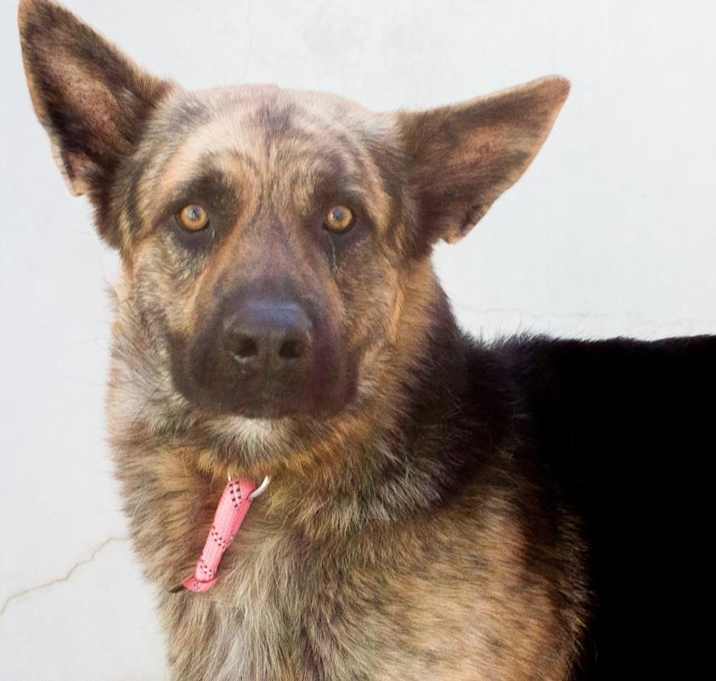 Photo of COMET