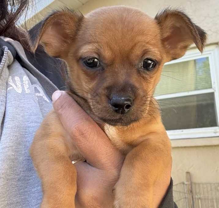 Photo of Sugar