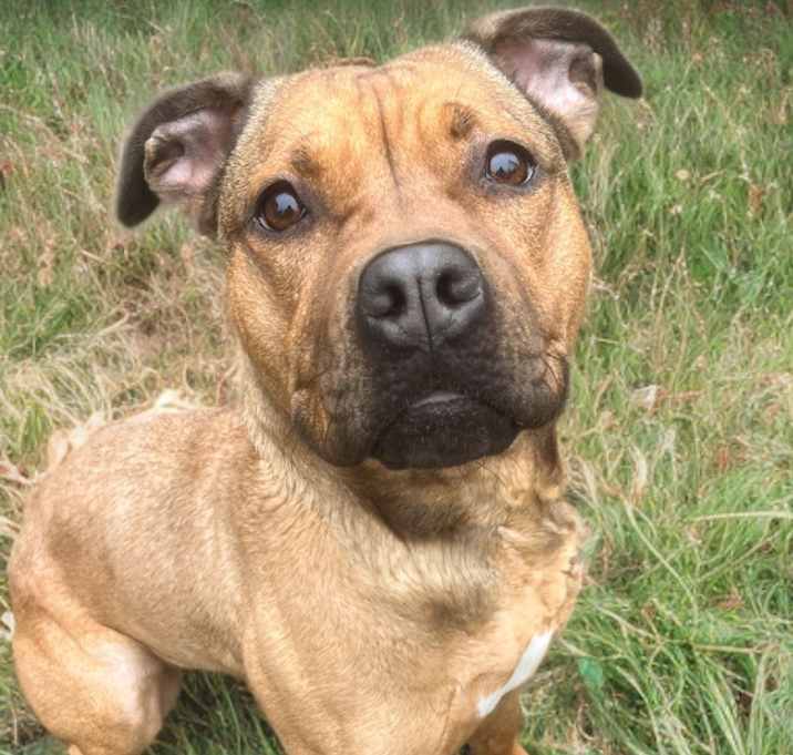 Photo of Roo