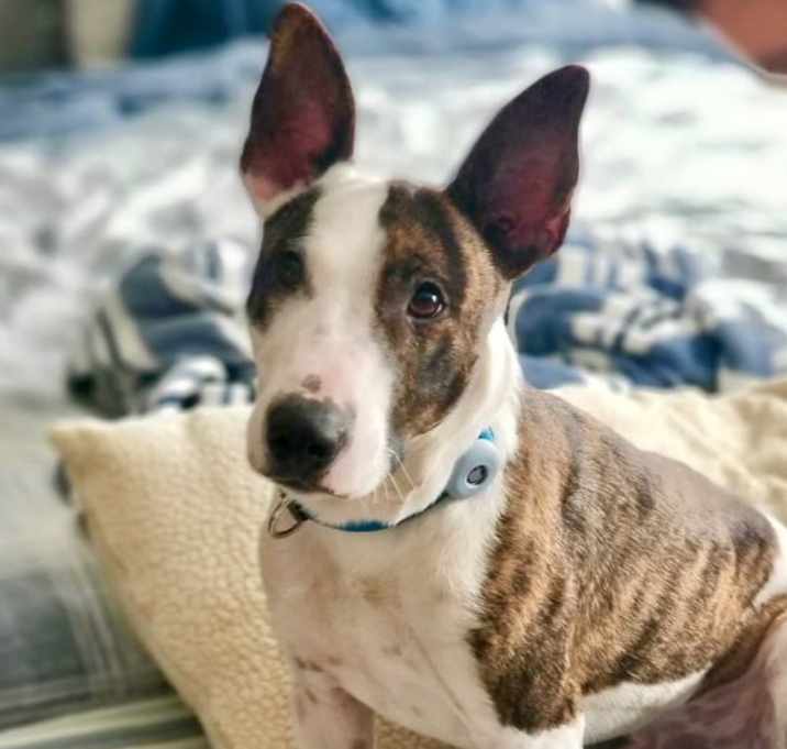 Photo of Parker