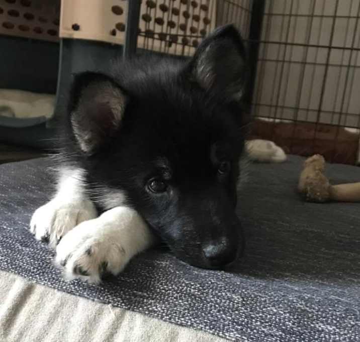 Photo of Tinkerbell