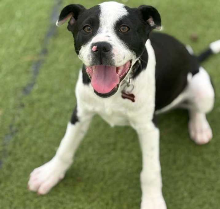 Photo of Kilo