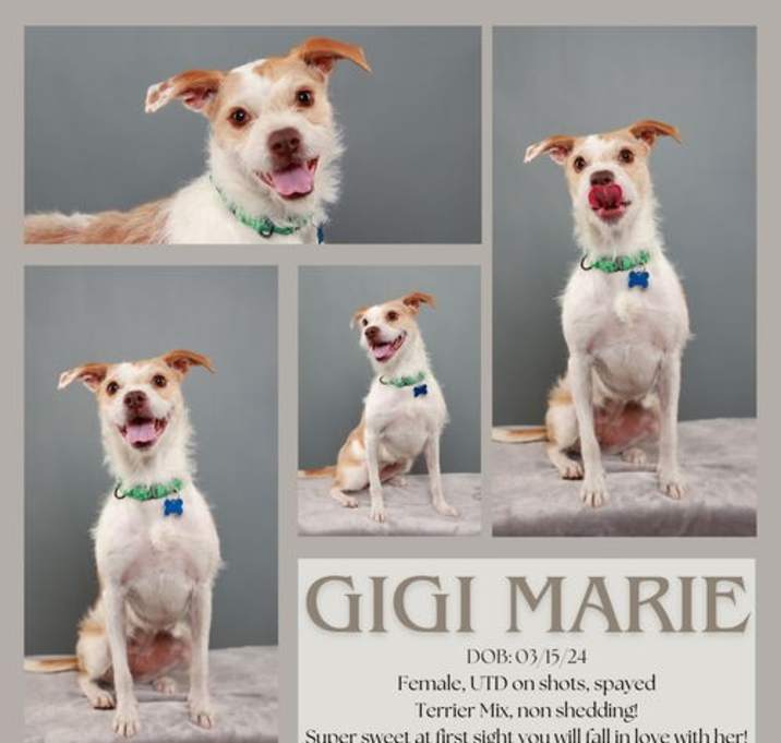 Photo of GiGi Marie