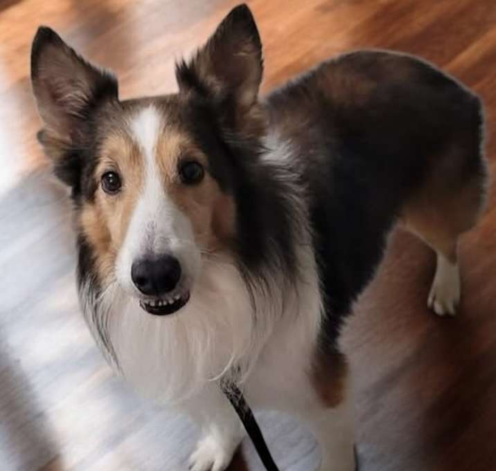 Photo of Trace