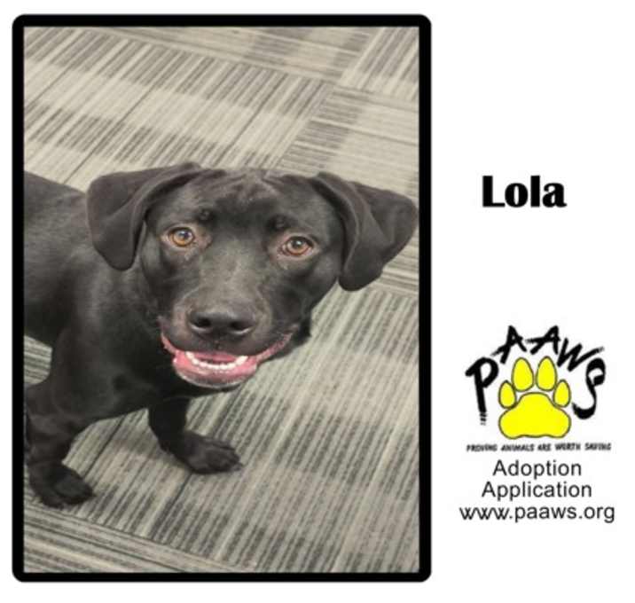 Photo of Lola