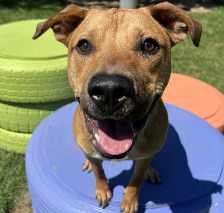 Photo of Ernie