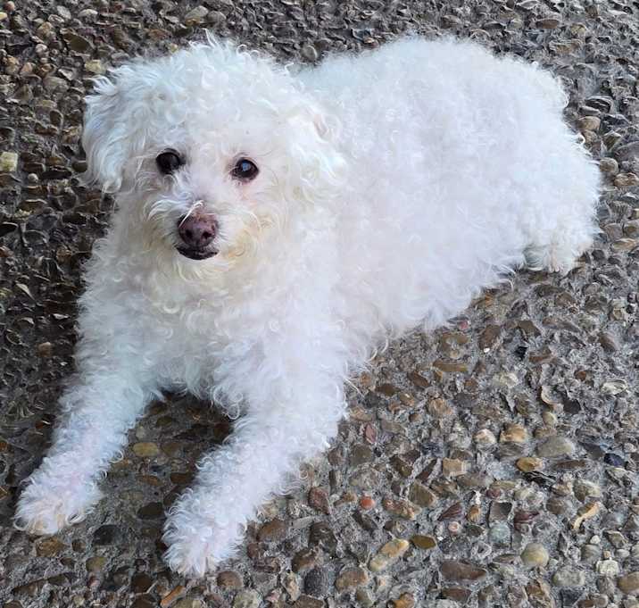 Photo of Burnie