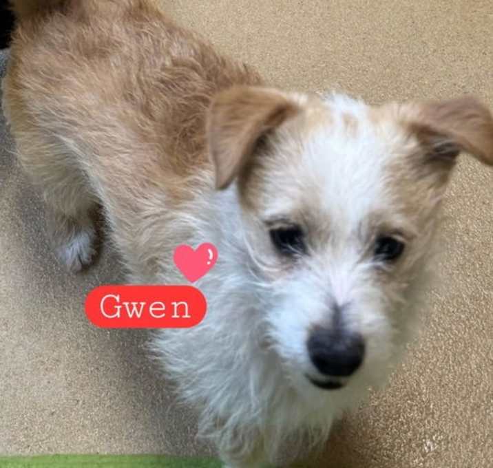 Photo of Gwen