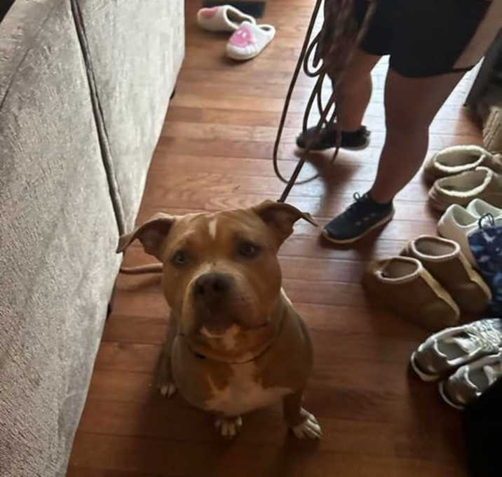 Photo of Chapo
