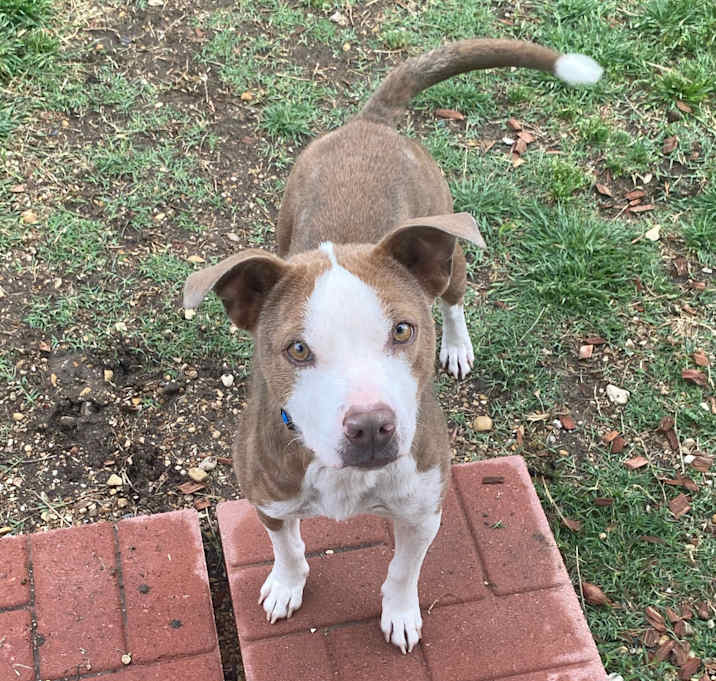 Photo of Hazel