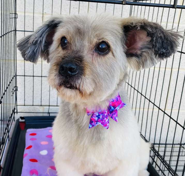 Photo of Sammie